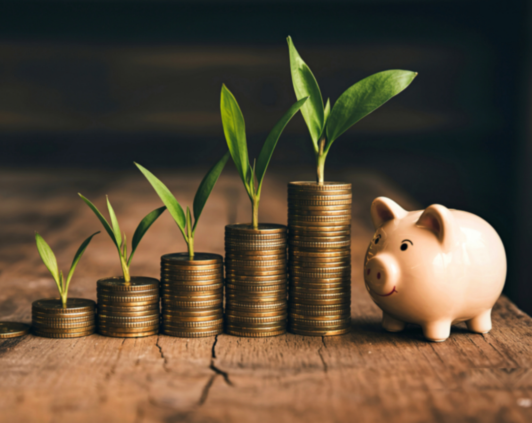 FinOps — economia e crescimento